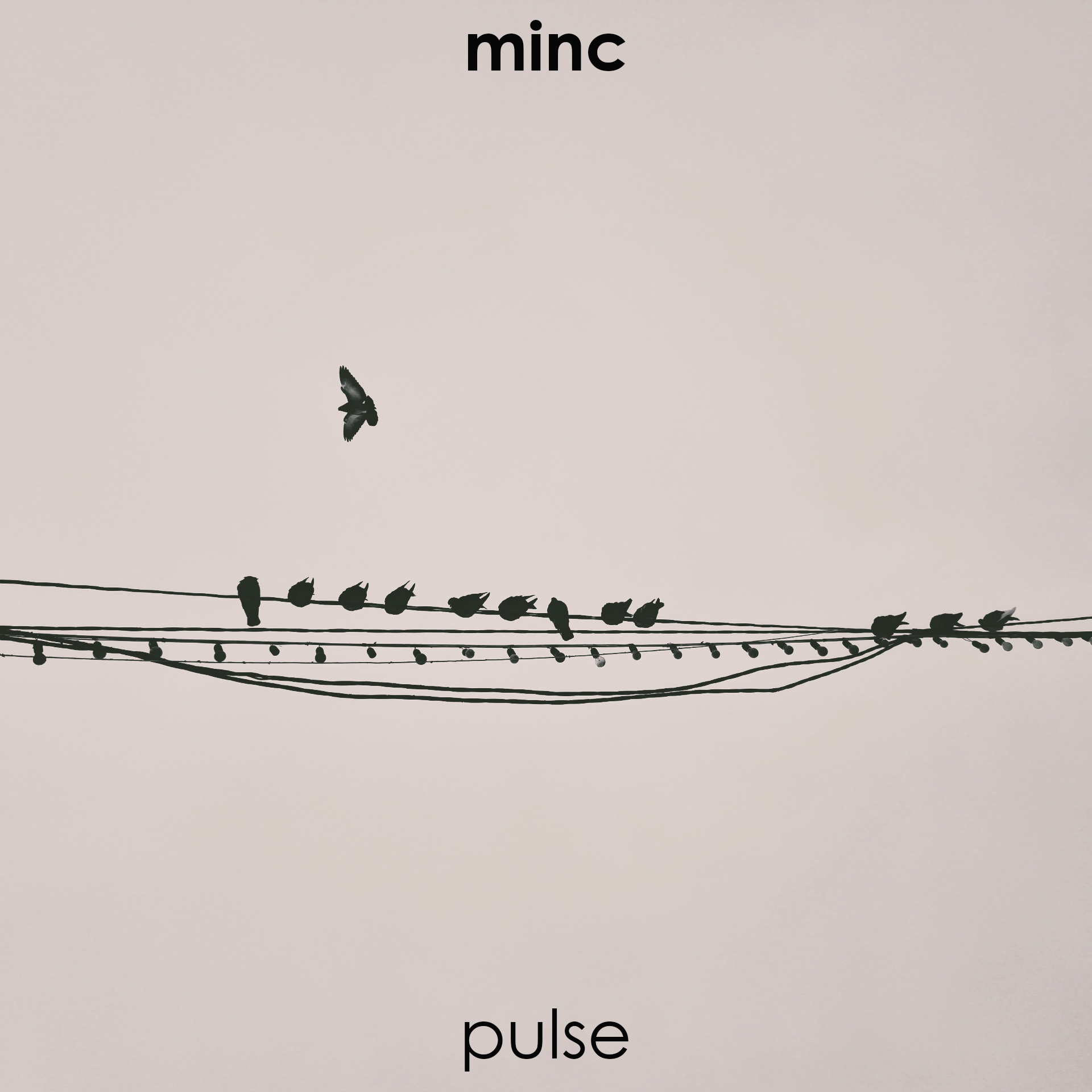 Minc – Pulse